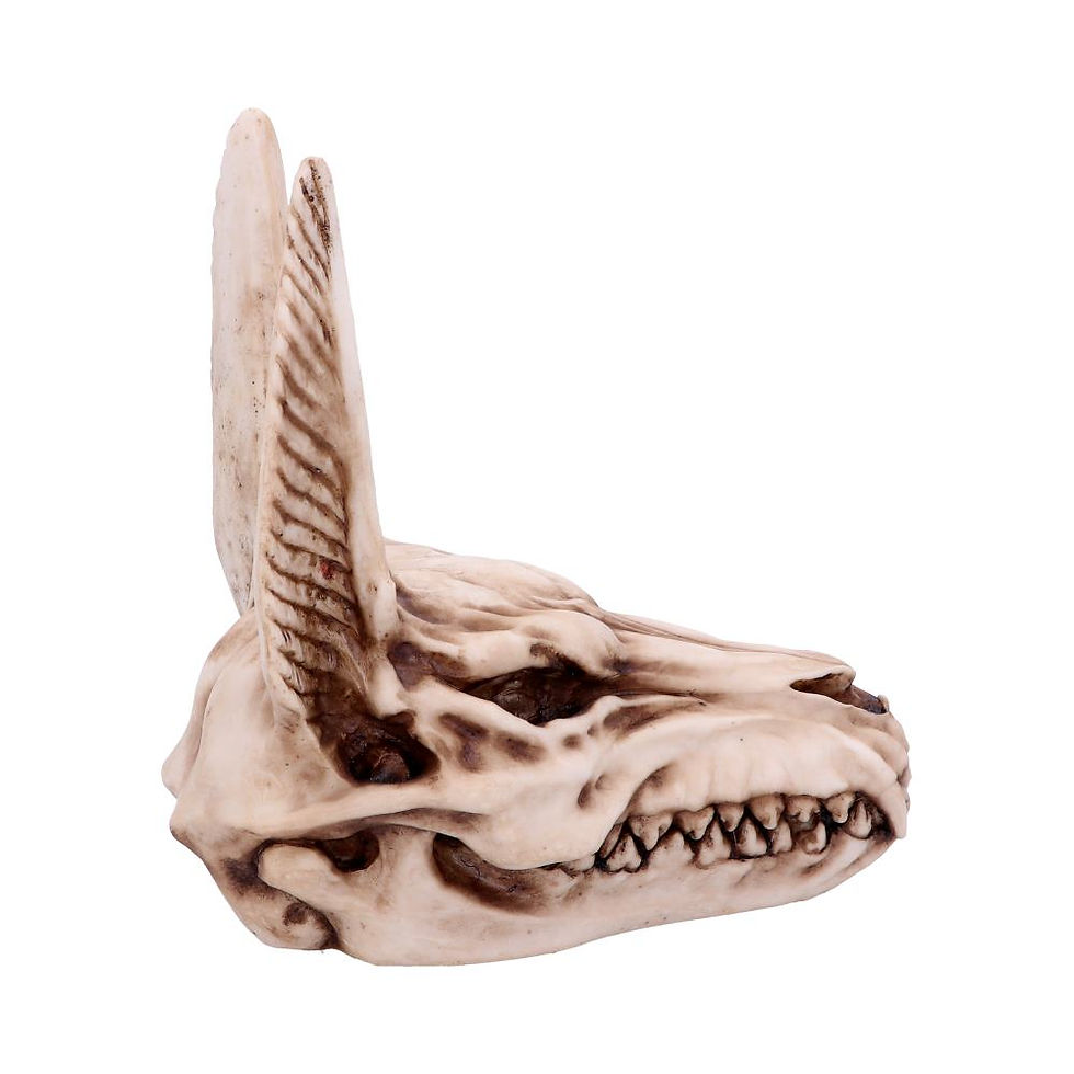 Thumbnail: ANUBIS SKULL 17cm