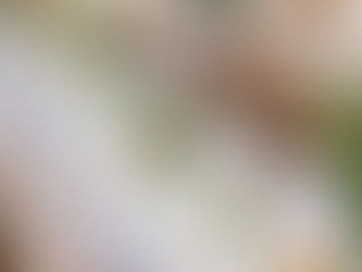 Dignitary production