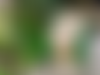 Review sách Lấy tình thâm mà đổi đầu bạc - Vãn Tình