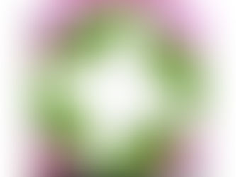 Donation Drawing for the TN Mountain Laurel Festival Quilt