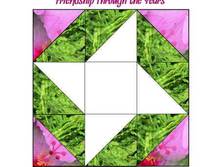 Donation Drawing for the TN Mountain Laurel Festival Quilt