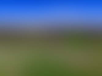 Tennessee Mountain Laurel Festival Drone Donation Drawing