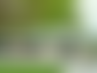 Help get HGTV to come to Wartburg!