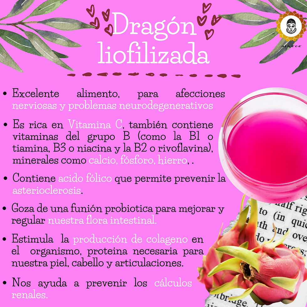Miniatura: Extracto puro liofilizado de Fruta del Dragón.