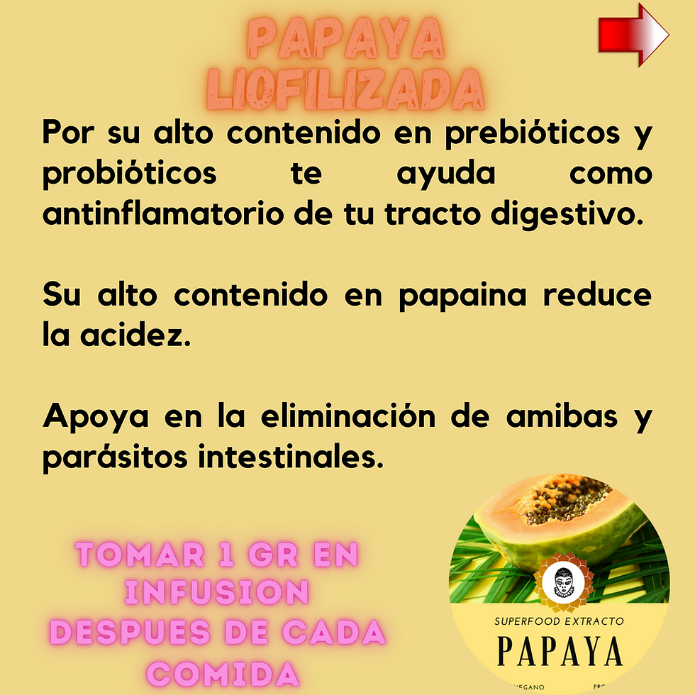 Miniatura: Extracto puro liofilizado de Papaya en polvo.
