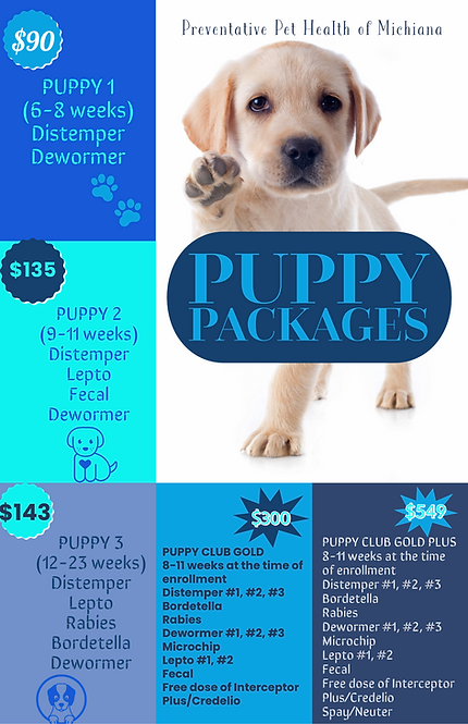 Puppy Packages 2323-7.png