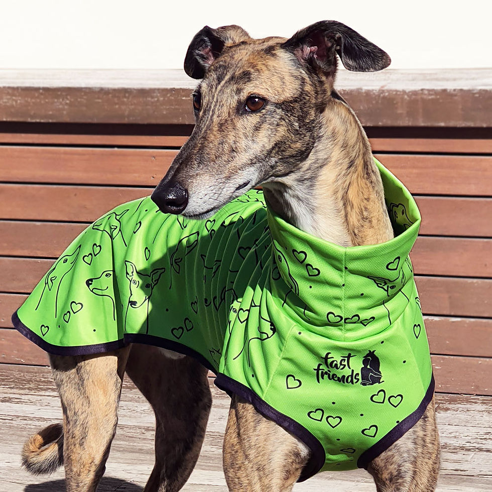 Thumbnail: Dillon & Co Lime - Fitted