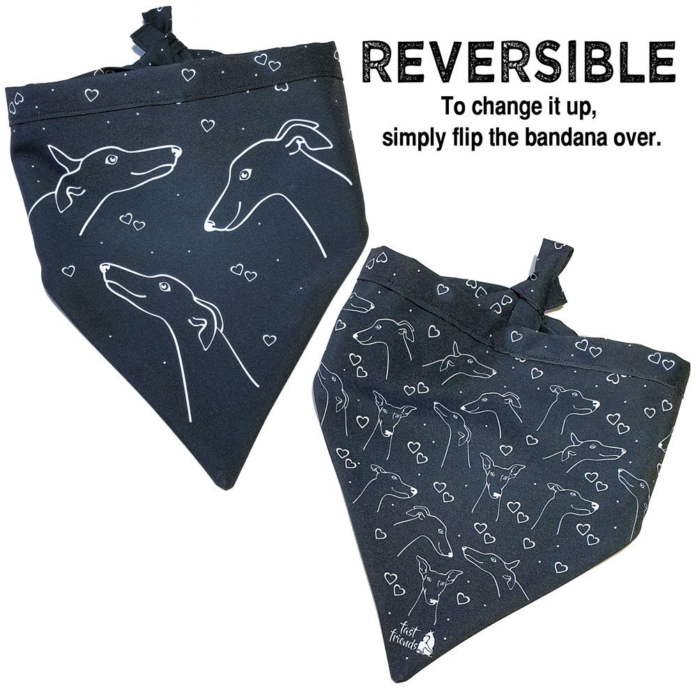 Dillon & Co Black White