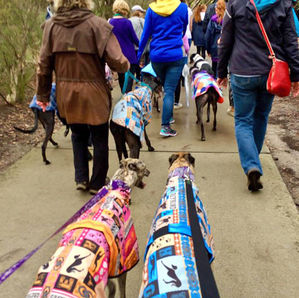 Global Walk
