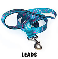 Leads.jpg