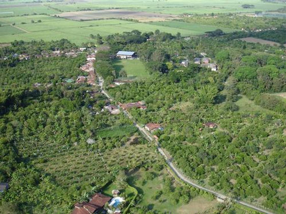 imagen region citricola.jpg