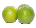 naranja valencia.png
