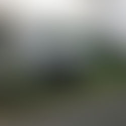 PKW in Vollbrand (01.05.2019)