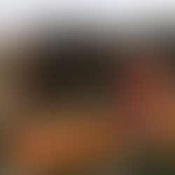 Brennender Anhänger (02.04.2019)