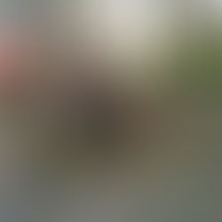 Wiesenbrand (25.07.2019)