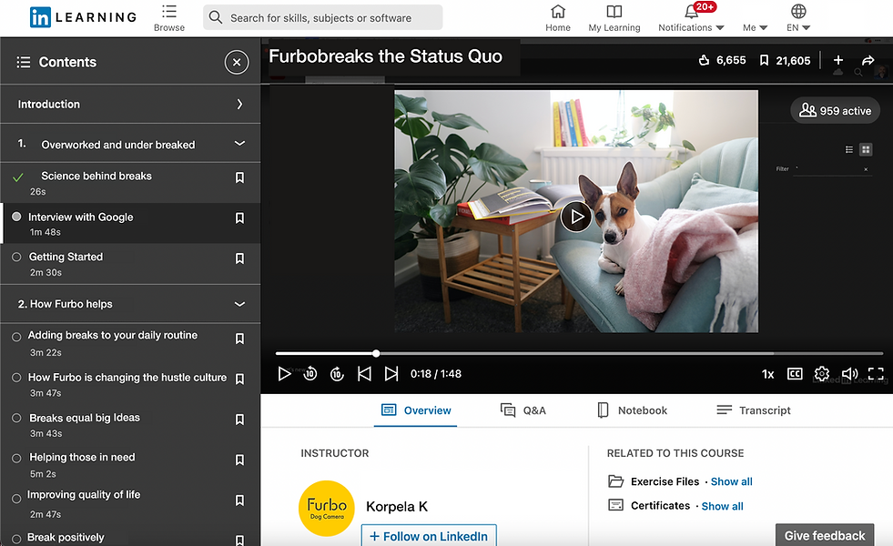 LinkedInlearning Furbo.png