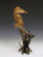 Seahorse