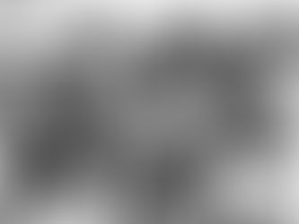 A LEGACY OF THE UNFORESEEN / Trying to limit the flow of newcomers has often led to surprises