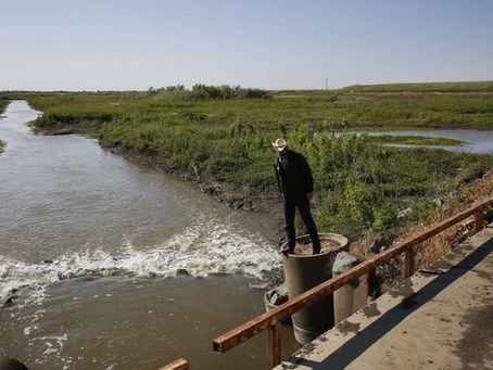 Strange drought allies: Rice farmers, urban environmentalists