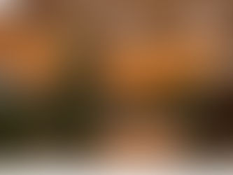 A new Spanish verb: Sensenbrenner