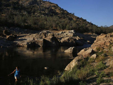 Dams, dams, and more dams