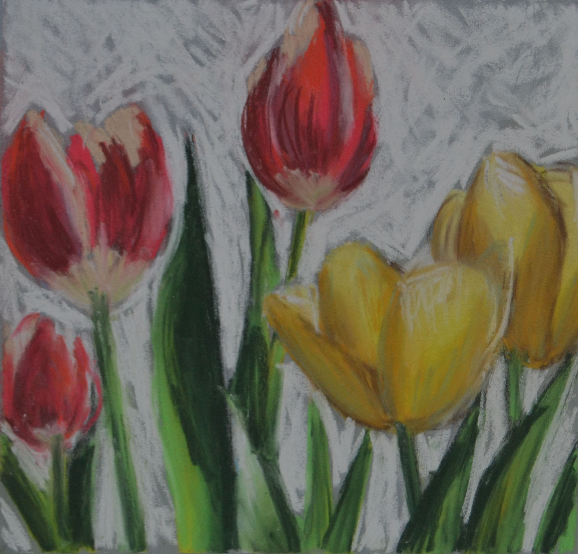 'Spring Tulips'