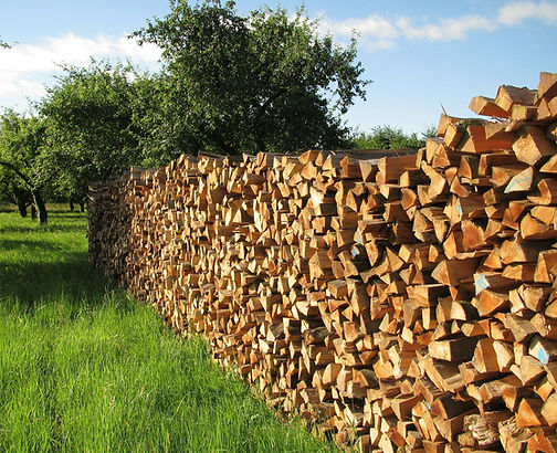 logs