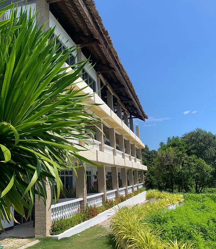 Untitled design (6).png