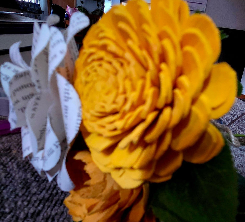 649447877_10164469308511520_301844940861714621_n.jpg