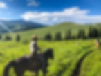Paradise Adventure Yellowstone Raft Horseback Rides IMG_2060.jpg