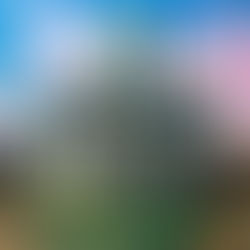 Church at Auvers sur Oise