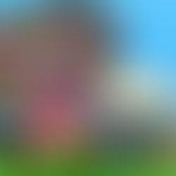 "Zaferizing" against the current : Hoping for a National Art Gallery