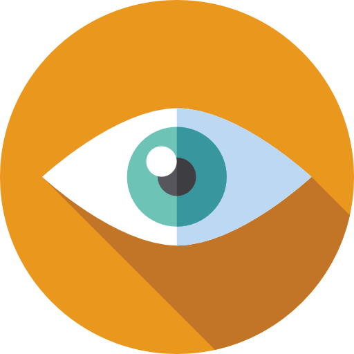 vision.png