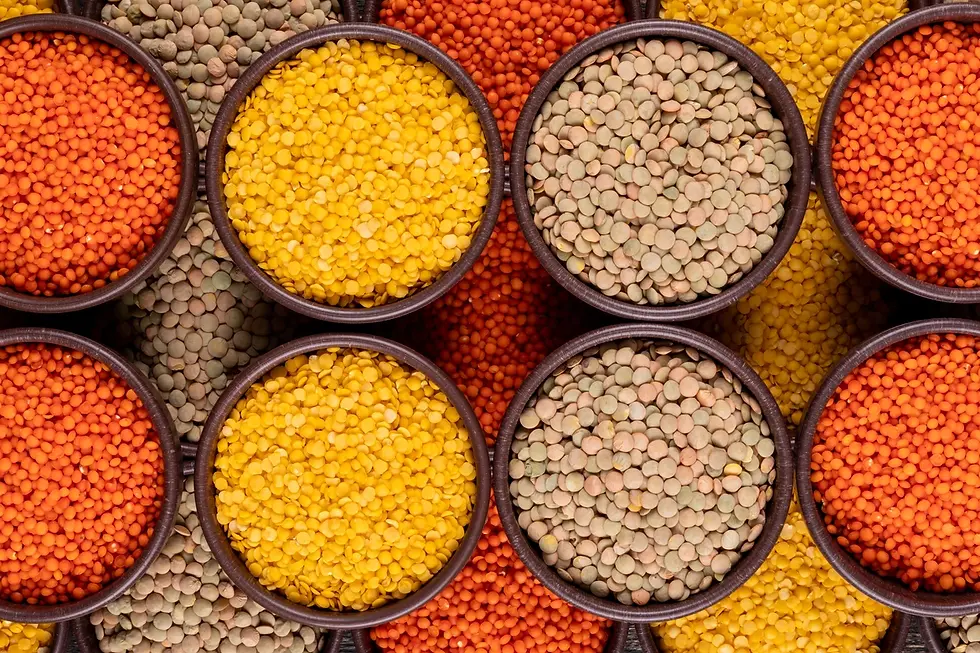 Lentilles jaunes, vertes, rouges dans des bols marron en gros plan
