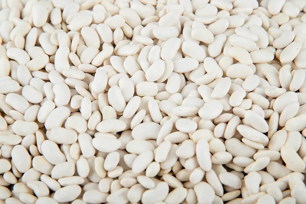Haricots blancs