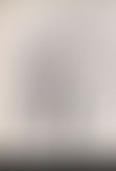 יום השואה 2024