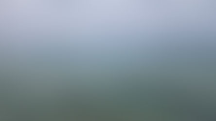 ארבעת עקרונות היסוד של המדע על פי מרטון