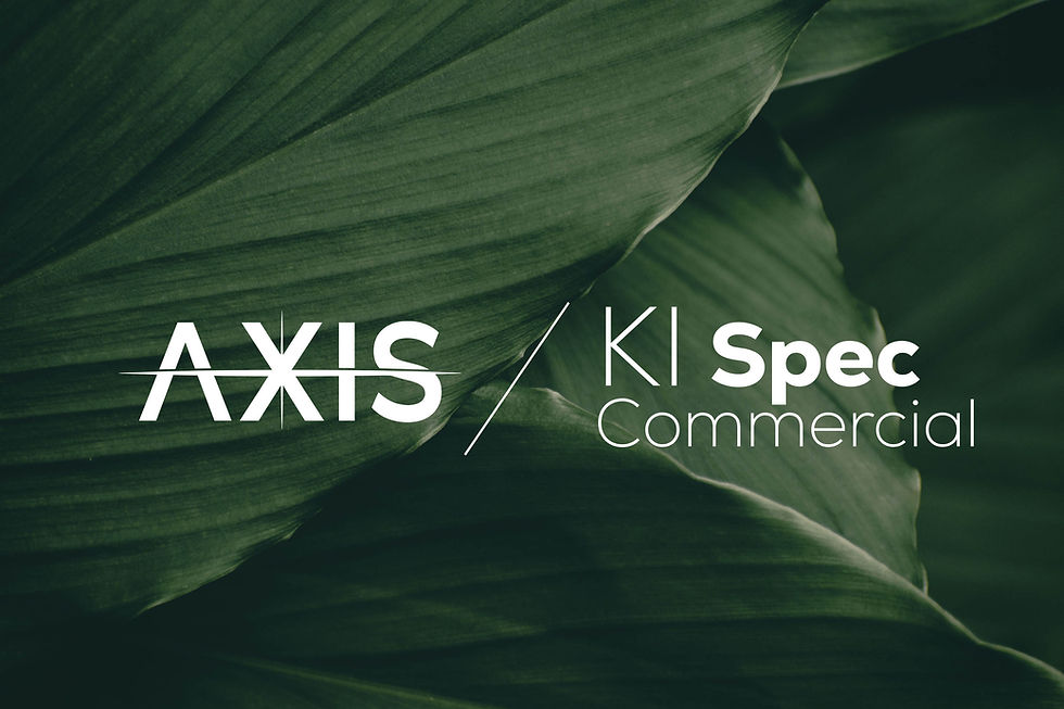 Was ist ein Spec Commercial? Definition und Einordnung