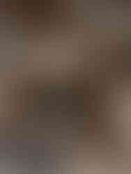 Zendara Villas Canggu, boutique hotels in canggu