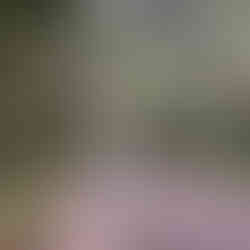 Temple in Tokyo Japan