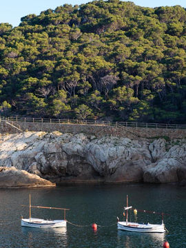 Facing the beachfront, Hostal Sa Rascassa offers 2-star accommodations in Begur and has a garden, terrace and restaurant. Featuring a bar, the hotel is close to several noted attractions, around a few steps from Cala d'Aiguafreda Beach and around a 10-minute walk from Platja sa Tuna. The property is non-smoking throughout and is located 17 miles from Medes Islands Marine Reserve.