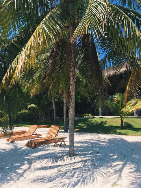 Beach club in Riviera Maya Mexico