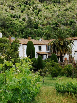 Featuring a private swimming pool and free WiFi, Finca Bell-Lloc is located in Palamos. This country house is 5-minutes’ drive from the nearest beach in Cala de la Fosca.

This property is made up of 6 rooms and a 3-bedroom house. Guests can enjoy a garden with sea and mountain views.

Finca Bell-Lloc has a tour desk, and massage services are offered. Bikes are available to all guests free of charge. Lunch and dinner is available upon prior request.
