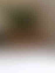 Masa Kini villa in Uluwatu, family villas bali