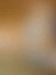 Japanese-style bedroom with mountain view at Sanso Kazenomori ryokan in Osaka, featuring traditional decor and serene ambiance.