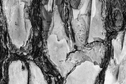 trial_by_fire copy.jpg