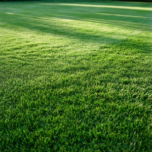 Residential Lawn Mowing