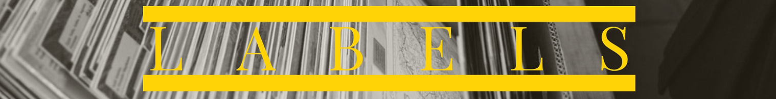 paginaweb (11).png