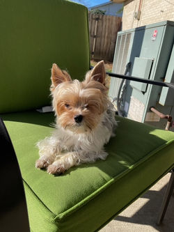 att.ac1MvSM93qsoEAEwdbs7K4Y179Qv2AF4A3MzVQ9HTzQ