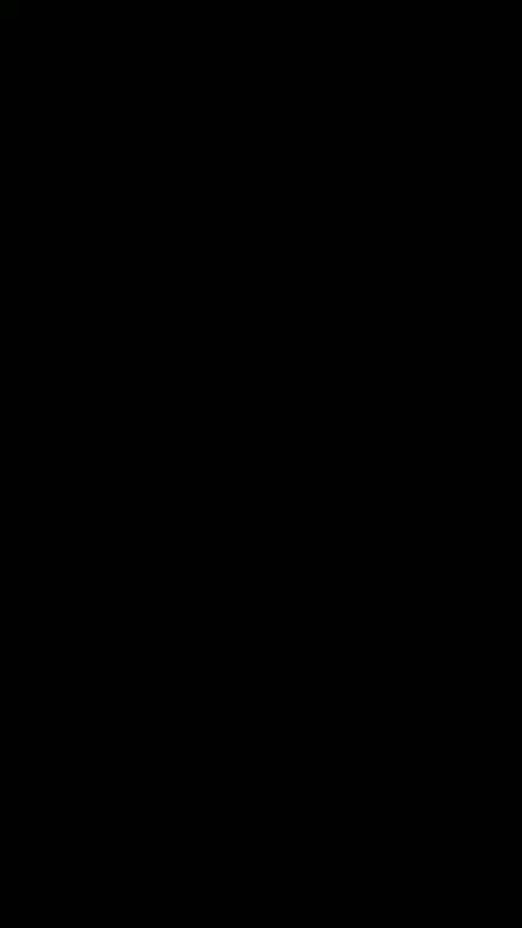95ce2ca4-7d52-4e40-903c-9aeb46616fb7.mp4
